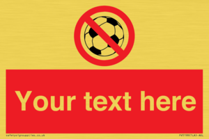 Custom No Ball Games Sign